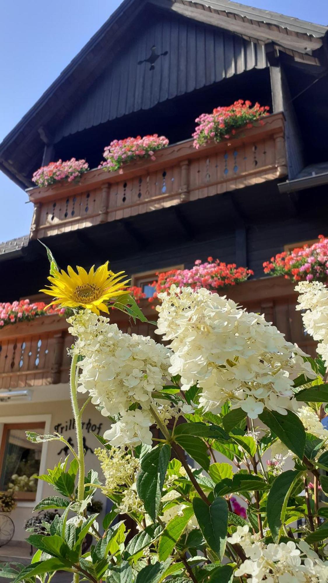 Pension Trillerhof Ramsau am Dachstein Buitenkant foto