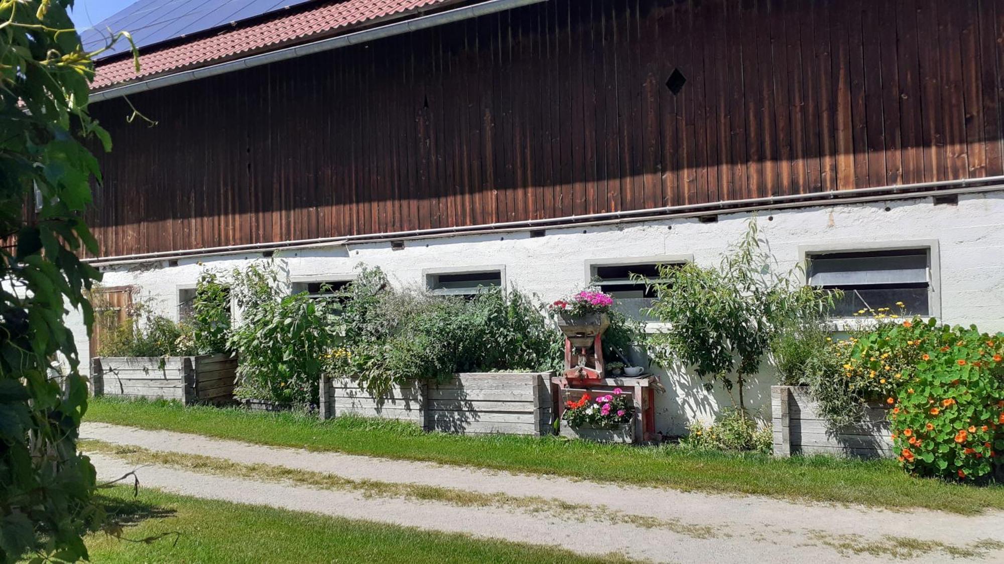 Pension Trillerhof Ramsau am Dachstein Buitenkant foto