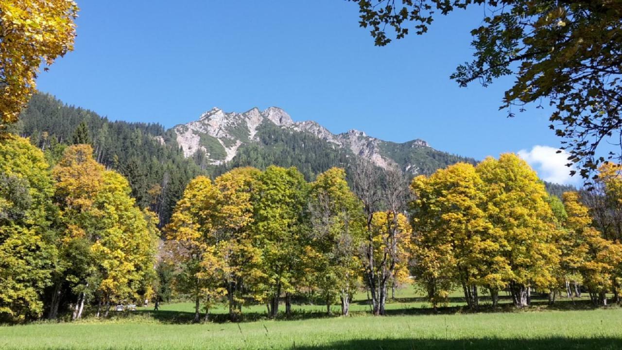 Pension Trillerhof Ramsau am Dachstein Buitenkant foto