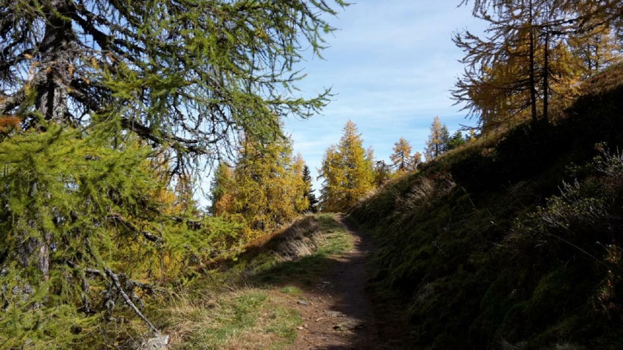 Pension Trillerhof Ramsau am Dachstein Buitenkant foto