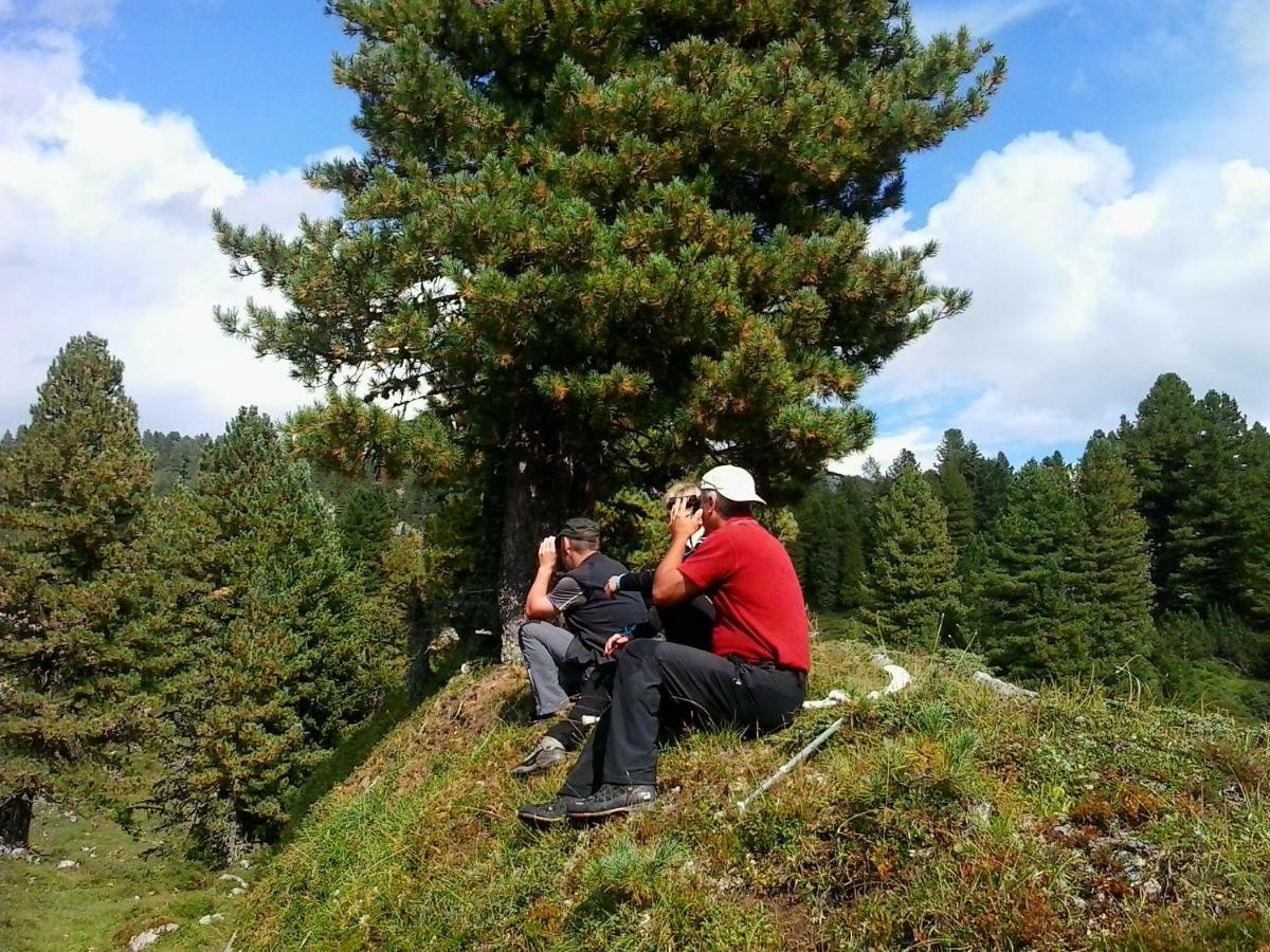 Pension Trillerhof Ramsau am Dachstein Buitenkant foto