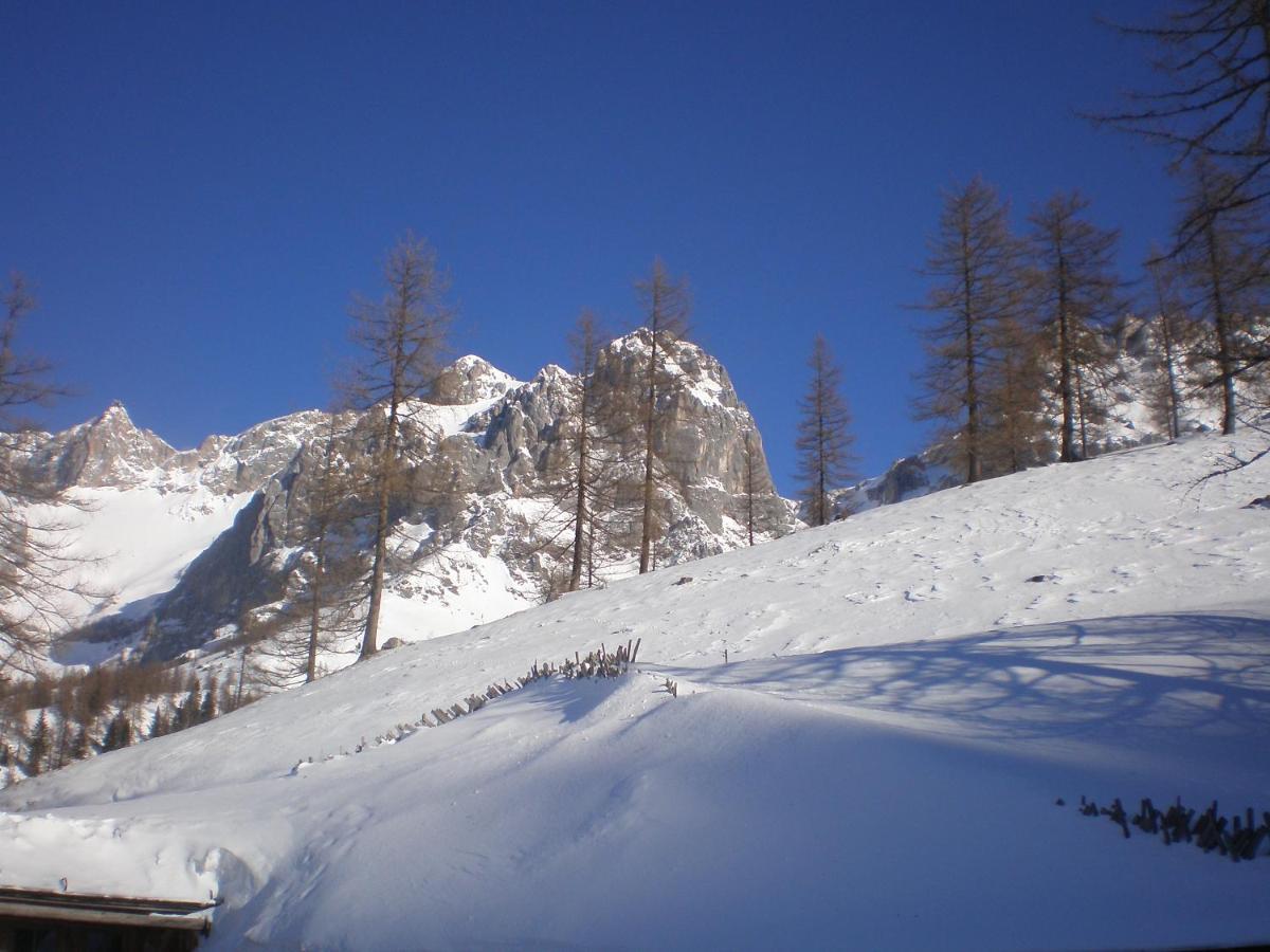 Pension Trillerhof Ramsau am Dachstein Buitenkant foto